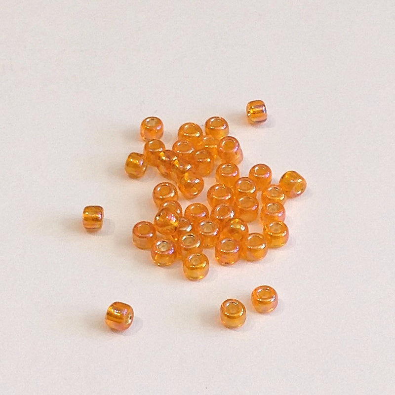 Seed Beads - 6/0 AB(Aurora Borealis)/ Iris/ Rainbow