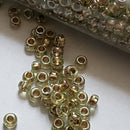 Seed Beads - 8/0 AB(Aurora Borealis)/ Iris/ Rainbow