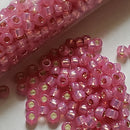 Seed Beads - 8/0 Silver/Gilt Lined