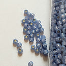 Seed Beads - 8/0 Silver/Gilt Lined