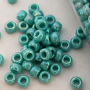 Seed Beads - 6/0 AB(Aurora Borealis)/ Iris/ Rainbow