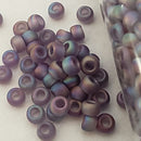 Seed Beads - 8/0 AB(Aurora Borealis)/ Iris/ Rainbow