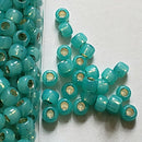 Seed Beads - 6/0 Silver/Gilt Lined