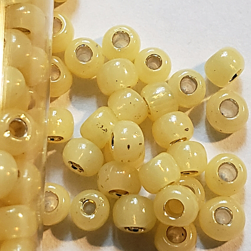 Seed Beads - 6/0 Silver/Gilt Lined