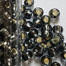 Seed Beads - 6/0 Silver/Gilt Lined