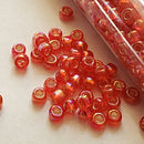 Seed Beads - 8/0 AB(Aurora Borealis)/ Iris/ Rainbow