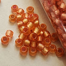 Seed Beads - 8/0 Lined