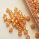 Seed Beads - 8/0 Silver/Gilt Lined