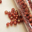 Seed Beads - 8/0 Silver/Gilt Lined